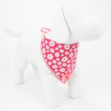 Bandana pra Cachorro 